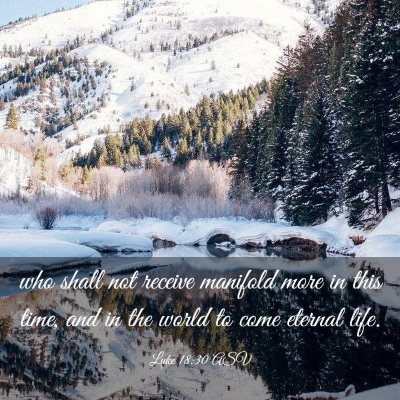 Picture 03 - Luke 18:30 ASV - who shall not receive manifold more in this time, - Bible Verse Picture