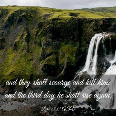 Picture 03 - Luke 18:33 ASV - and they shall scourge and kill him: and the - Bible Verse Picture