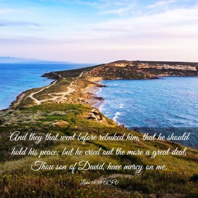 Picture 03 - Luke 18:39 ASV - And they that went before rebuked him, that he - Bible Verse Picture