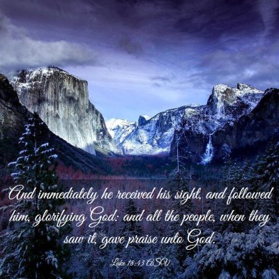 Picture 03 - Luke 18:43 ASV - And immediately he received his sight, and - Bible Verse Picture