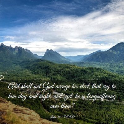 Picture 03 - Luke 18:7 ASV - And shall not God avenge his elect, that cry to - Bible Verse Picture