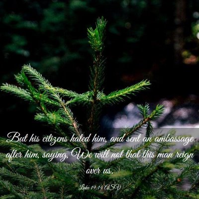 Picture 03 - Luke 19:14 ASV - But his citizens hated him, and sent an ambassage - Bible Verse Picture