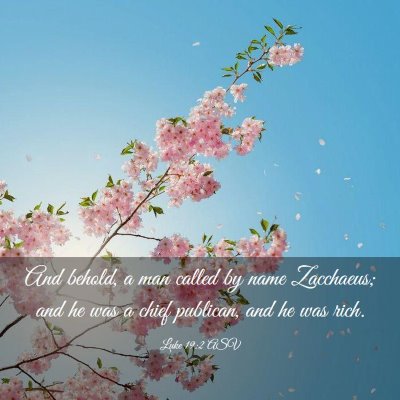 Picture 03 - Luke 19:2 ASV - And behold, a man called by name Zacchaeus; and - Bible Verse Picture