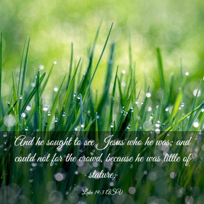 Picture 03 - Luke 19:3 ASV - And he sought to see Jesus who he was; and could - Bible Verse Picture