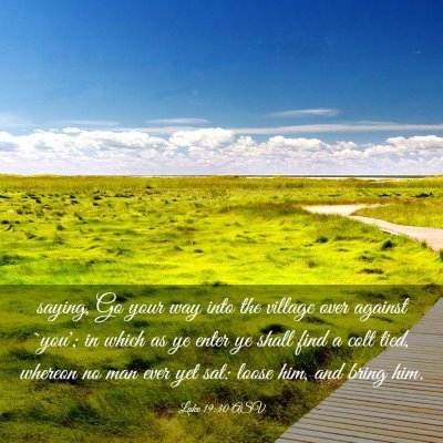 Picture 03 - Luke 19:30 ASV - saying, Go your way into the village over against - Bible Verse Picture