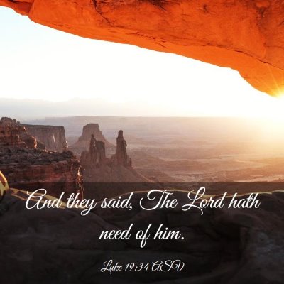 Picture 03 - Luke 19:34 ASV - And they said, The Lord hath need of - Bible Verse Picture