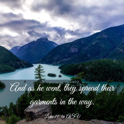 Picture 03 - Luke 19:36 ASV - And as he went, they spread their garments in the - Bible Verse Picture