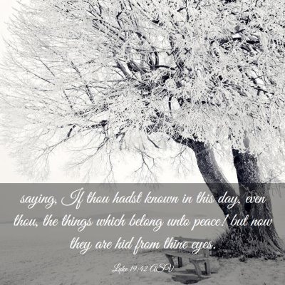 Picture 03 - Luke 19:42 ASV - saying, If thou hadst known in this day, even - Bible Verse Picture