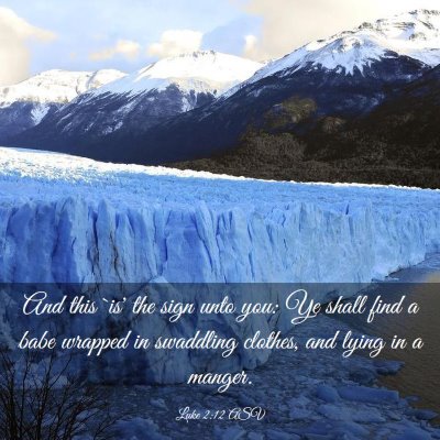 Picture 03 - Luke 2:12 ASV - And this `is' the sign unto you: Ye shall find a - Bible Verse Picture