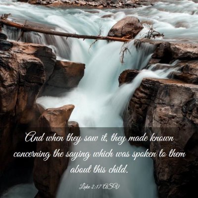 Picture 03 - Luke 2:17 ASV - And when they saw it, they made known concerning - Bible Verse Picture