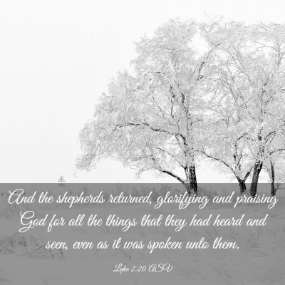 Picture 03 - Luke 2:20 ASV - And the shepherds returned, glorifying and - Bible Verse Picture