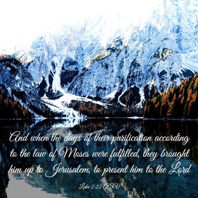 Picture 03 - Luke 2:22 ASV - And when the days of their purification according - Bible Verse Picture