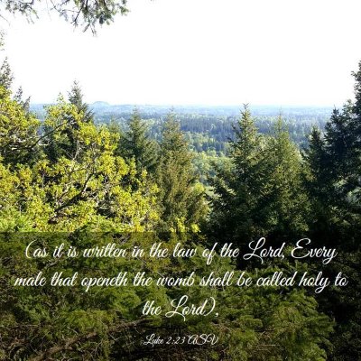 Picture 03 - Luke 2:23 ASV - (as it is written in the law of the Lord, Every - Bible Verse Picture