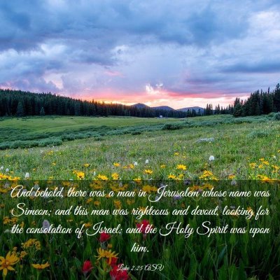 Picture 03 - Luke 2:25 ASV - And behold, there was a man in Jerusalem whose - Bible Verse Picture