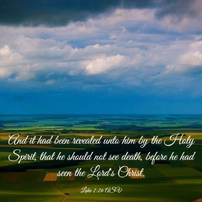 Picture 03 - Luke 2:26 ASV - And it had been revealed unto him by the Holy - Bible Verse Picture