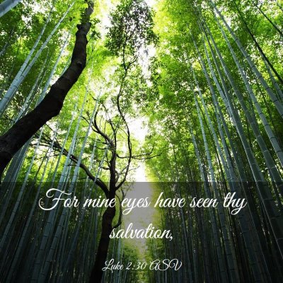 Picture 03 - Luke 2:30 ASV - For mine eyes have seen thy - Bible Verse Picture