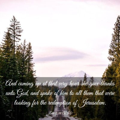 Picture 03 - Luke 2:38 ASV - And coming up at that very hour she gave thanks - Bible Verse Picture