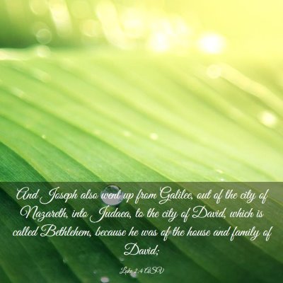 Picture 03 - Luke 2:4 ASV - And Joseph also went up from Galilee, out of the - Bible Verse Picture