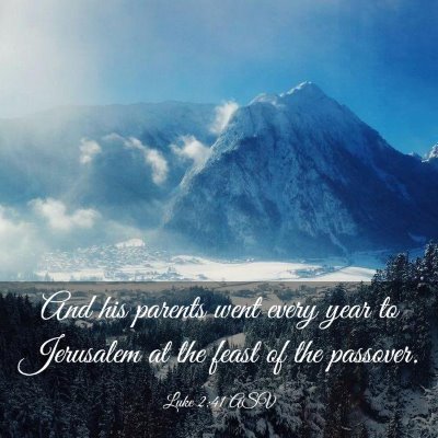 Picture 03 - Luke 2:41 ASV - And his parents went every year to Jerusalem at - Bible Verse Picture
