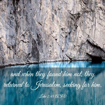 Picture 03 - Luke 2:45 ASV - and when they found him not, they returned to - Bible Verse Picture