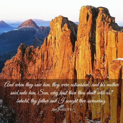 Picture 03 - Luke 2:48 ASV - And when they saw him, they were astonished; and - Bible Verse Picture