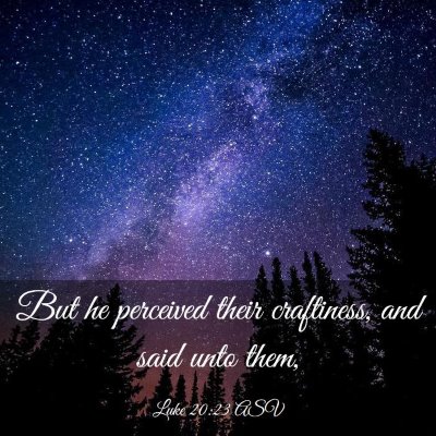 Picture 03 - Luke 20:23 ASV - But he perceived their craftiness, and said unto - Bible Verse Picture