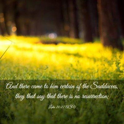 Picture 03 - Luke 20:27 ASV - And there came to him certain of the Sadducees, - Bible Verse Picture