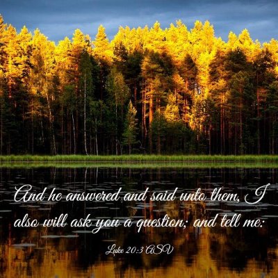 Picture 03 - Luke 20:3 ASV - And he answered and said unto them, I also will - Bible Verse Picture