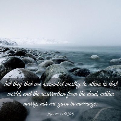 Picture 03 - Luke 20:35 ASV - but they that are accounted worthy to attain to - Bible Verse Picture