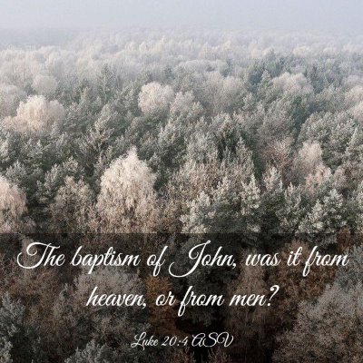 Picture 03 - Luke 20:4 ASV - The baptism of John, was it from heaven, or from - Bible Verse Picture