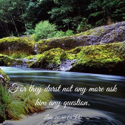 Picture 03 - Luke 20:40 ASV - For they durst not any more ask him any - Bible Verse Picture