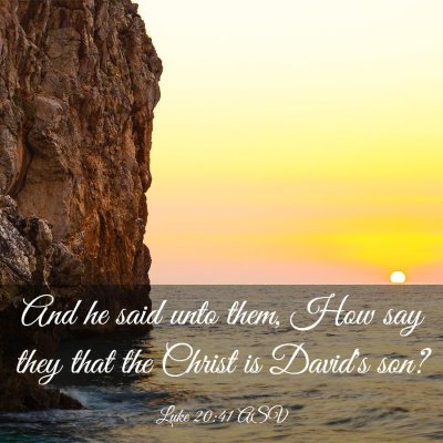 Picture 03 - Luke 20:41 ASV - And he said unto them, How say they that the - Bible Verse Picture
