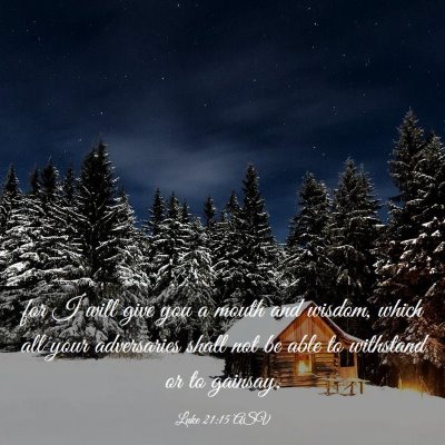 Picture 03 - Luke 21:15 ASV - for I will give you a mouth and wisdom, which all - Bible Verse Picture