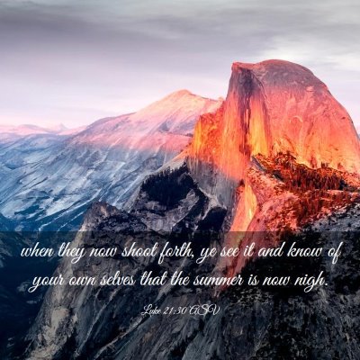 Picture 03 - Luke 21:30 ASV - when they now shoot forth, ye see it and know of - Bible Verse Picture