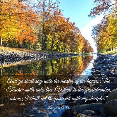 Picture 03 - Luke 22:11 ASV - And ye shall say unto the master of the house, - Bible Verse Picture