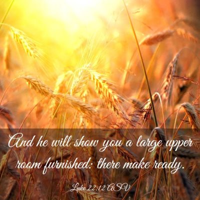 Picture 03 - Luke 22:12 ASV - And he will show you a large upper room - Bible Verse Picture