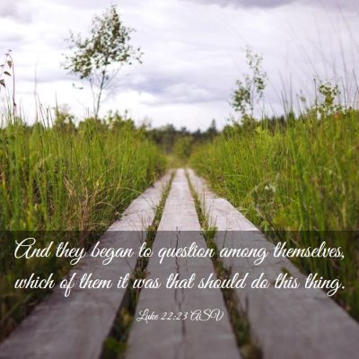 Picture 03 - Luke 22:23 ASV - And they began to question among themselves, - Bible Verse Picture