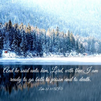 Picture 03 - Luke 22:33 ASV - And he said unto him, Lord, with thee I am ready - Bible Verse Picture