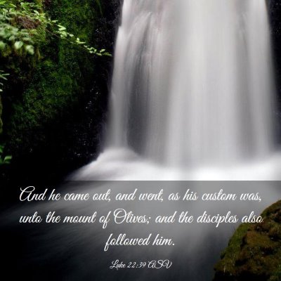 Picture 03 - Luke 22:39 ASV - And he came out, and went, as his custom was, - Bible Verse Picture