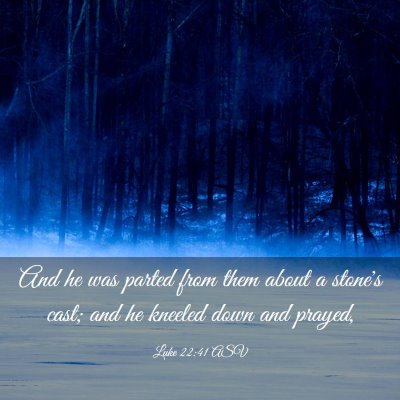 Picture 03 - Luke 22:41 ASV - And he was parted from them about a stone's cast; - Bible Verse Picture