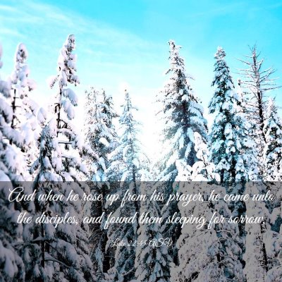 Picture 03 - Luke 22:45 ASV - And when he rose up from his prayer, he came unto - Bible Verse Picture