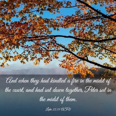 Picture 03 - Luke 22:55 ASV - And when they had kindled a fire in the midst of - Bible Verse Picture