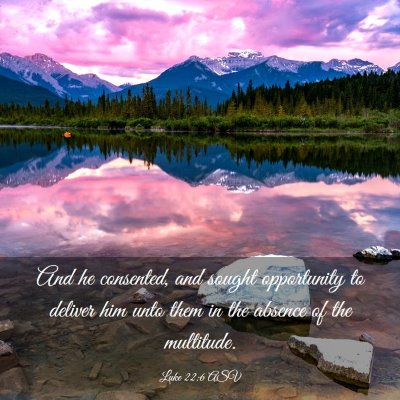 Picture 03 - Luke 22:6 ASV - And he consented, and sought opportunity to - Bible Verse Picture