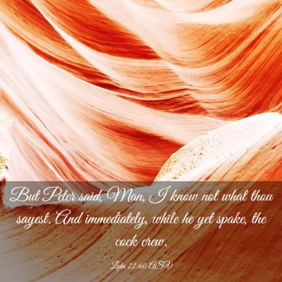 Picture 03 - Luke 22:60 ASV - But Peter said, Man, I know not what thou sayest. - Bible Verse Picture