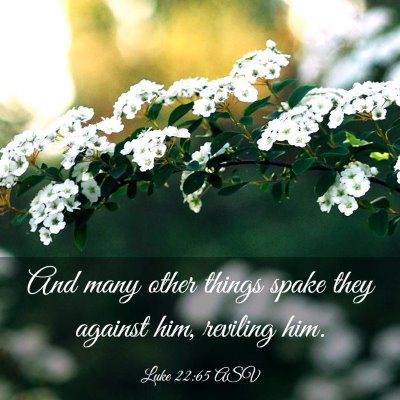 Picture 03 - Luke 22:65 ASV - And many other things spake they against him, - Bible Verse Picture