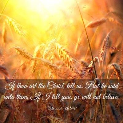 Picture 03 - Luke 22:67 ASV - If thou art the Christ, tell us. But he said unto - Bible Verse Picture