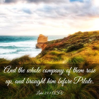 Picture 03 - Luke 23:1 ASV - And the whole company of them rose up, and - Bible Verse Picture