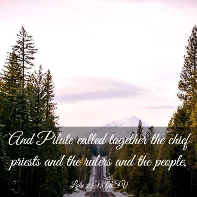 Picture 03 - Luke 23:13 ASV - And Pilate called together the chief priests and - Bible Verse Picture