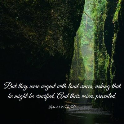 Picture 03 - Luke 23:23 ASV - But they were urgent with loud voices, asking - Bible Verse Picture