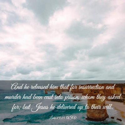 Picture 03 - Luke 23:25 ASV - And he released him that for insurrection and - Bible Verse Picture